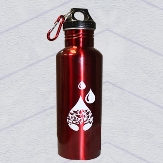 Stainless Steel Water Bottle