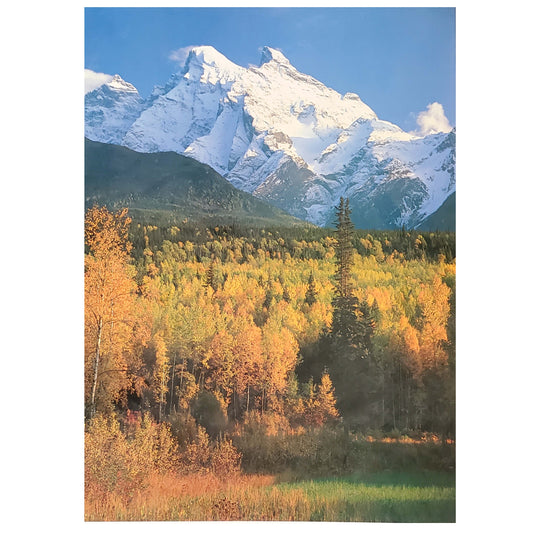 Coastal Mt. Range. Portrait Wall Art Photography 20X16 Inches