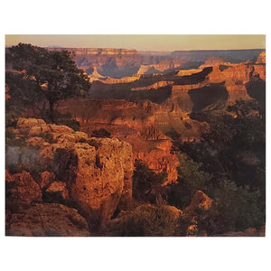 Humeurs matinales de l’art mural du Grand Canyon. Photographie de paysage 16X20 pouces.